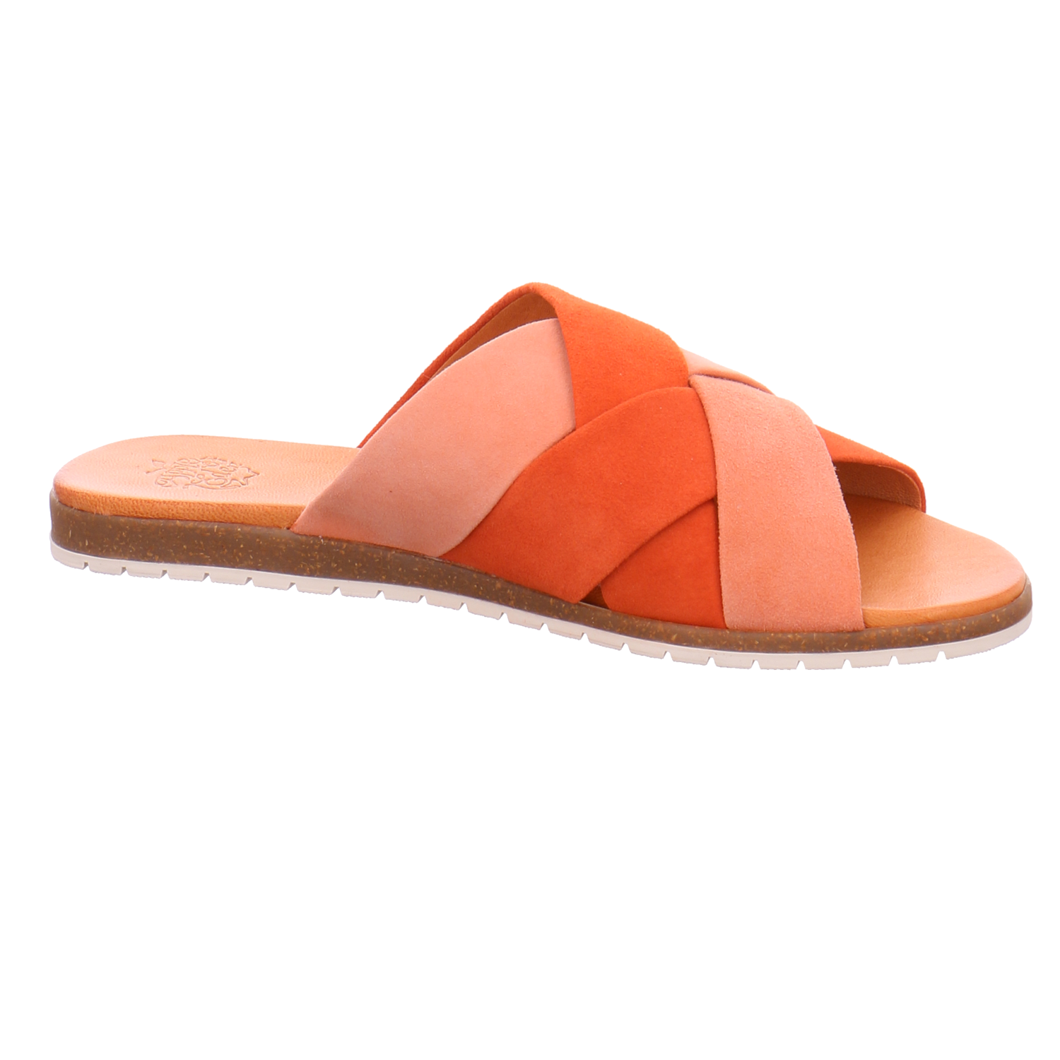 Apple of Eden Berta 42 salmon orange